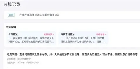 光耀聖錄-2024-11-03 Bili-Alert